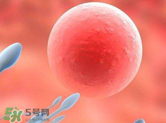 捐20顆卵子會(huì)怎么樣？捐20顆卵子有什么后果？