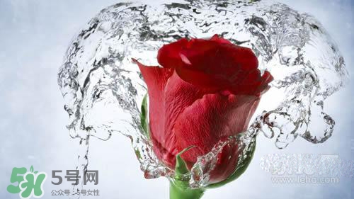 黃瓜水和玫瑰水哪個(gè)好？黃瓜水和玫瑰水區(qū)別