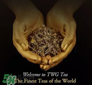 twg茶哪個最經(jīng)典？twg茶葉哪個好喝？