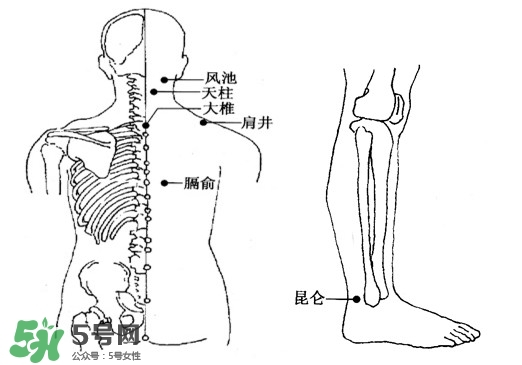 刮痧能治頸椎病嗎？頸椎病刮痧正確圖片
