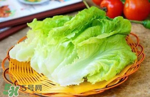 生菜可以放冰箱嗎？生菜可以放冰箱多久？