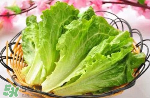 生菜可以放冰箱嗎？生菜可以放冰箱多久？
