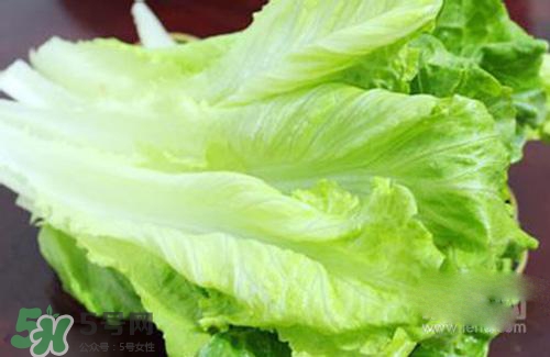 生菜可以放冰箱嗎？生菜可以放冰箱多久？