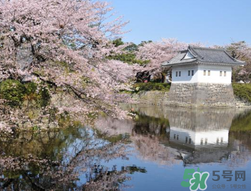5月份去日本穿什么？五月份去日本穿什么衣服？