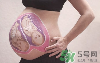 妊娠線看可以看胎兒性別嗎？妊娠線看可以男女嗎？