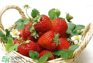 五月份還有草莓嗎？5月份還有草莓嗎？