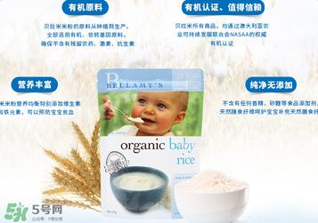 貝拉米米粉含鐵嗎？貝拉米米粉含鐵量