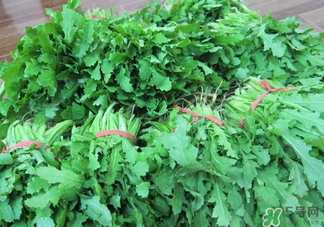 罌粟苗能當(dāng)菜吃嗎？罌粟苗可以當(dāng)菜吃嗎？