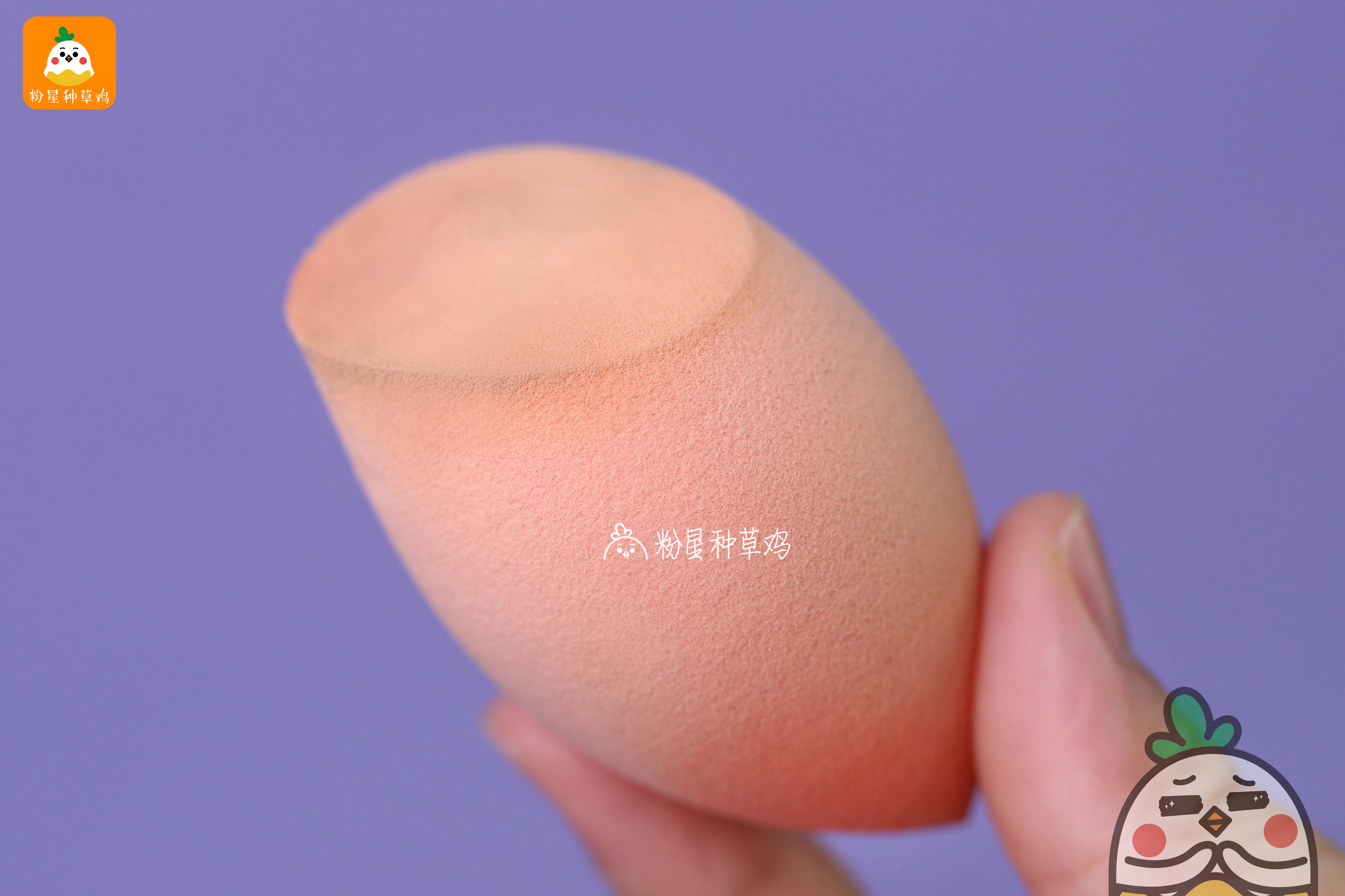 beauty blender美妝蛋和rt美妝蛋哪個(gè)好？