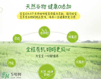 禧貝米粉二段味道怎么樣？禧貝米粉二段味道如何？