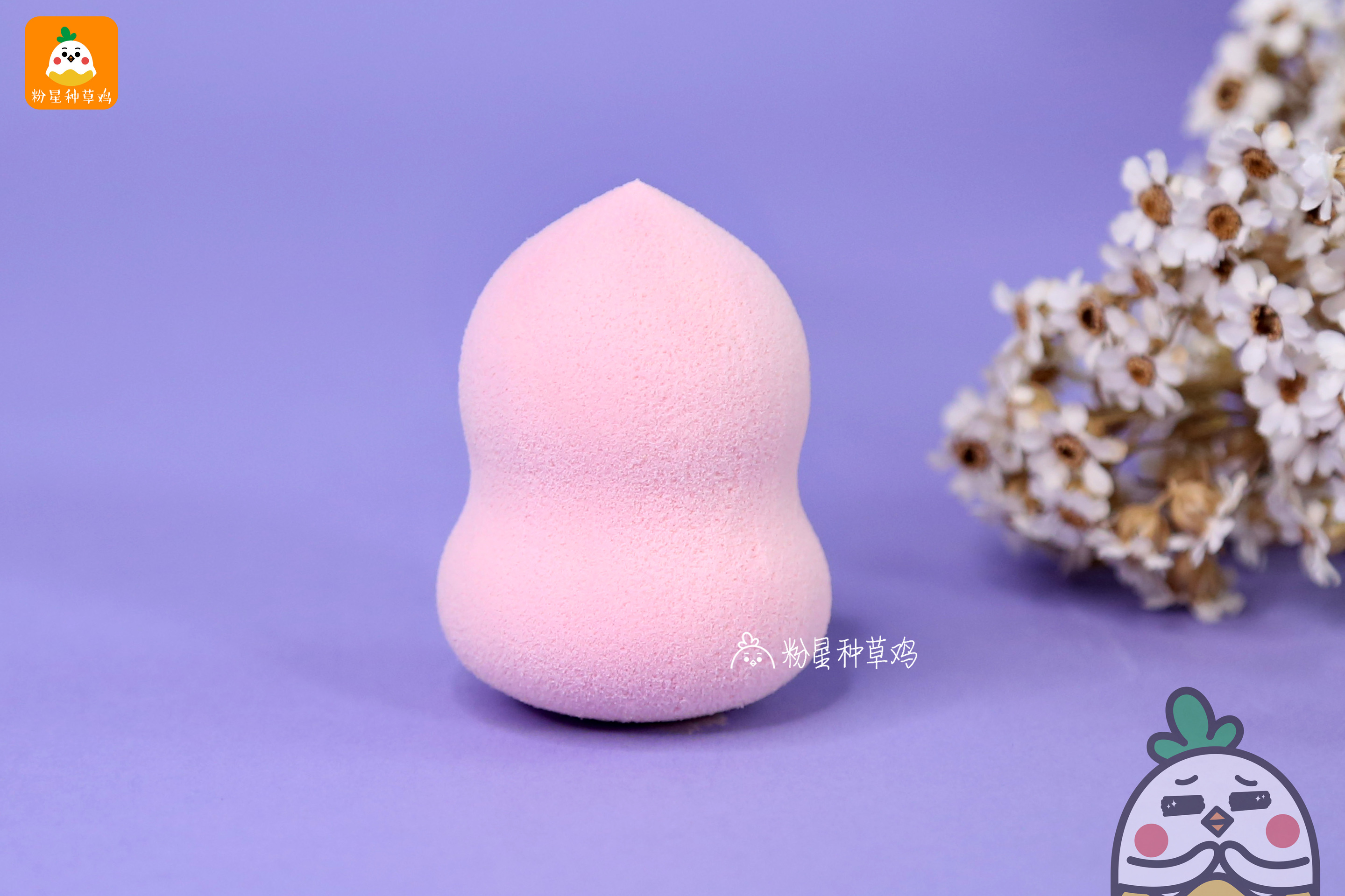 beauty blender美妝蛋和rt美妝蛋哪個(gè)好？