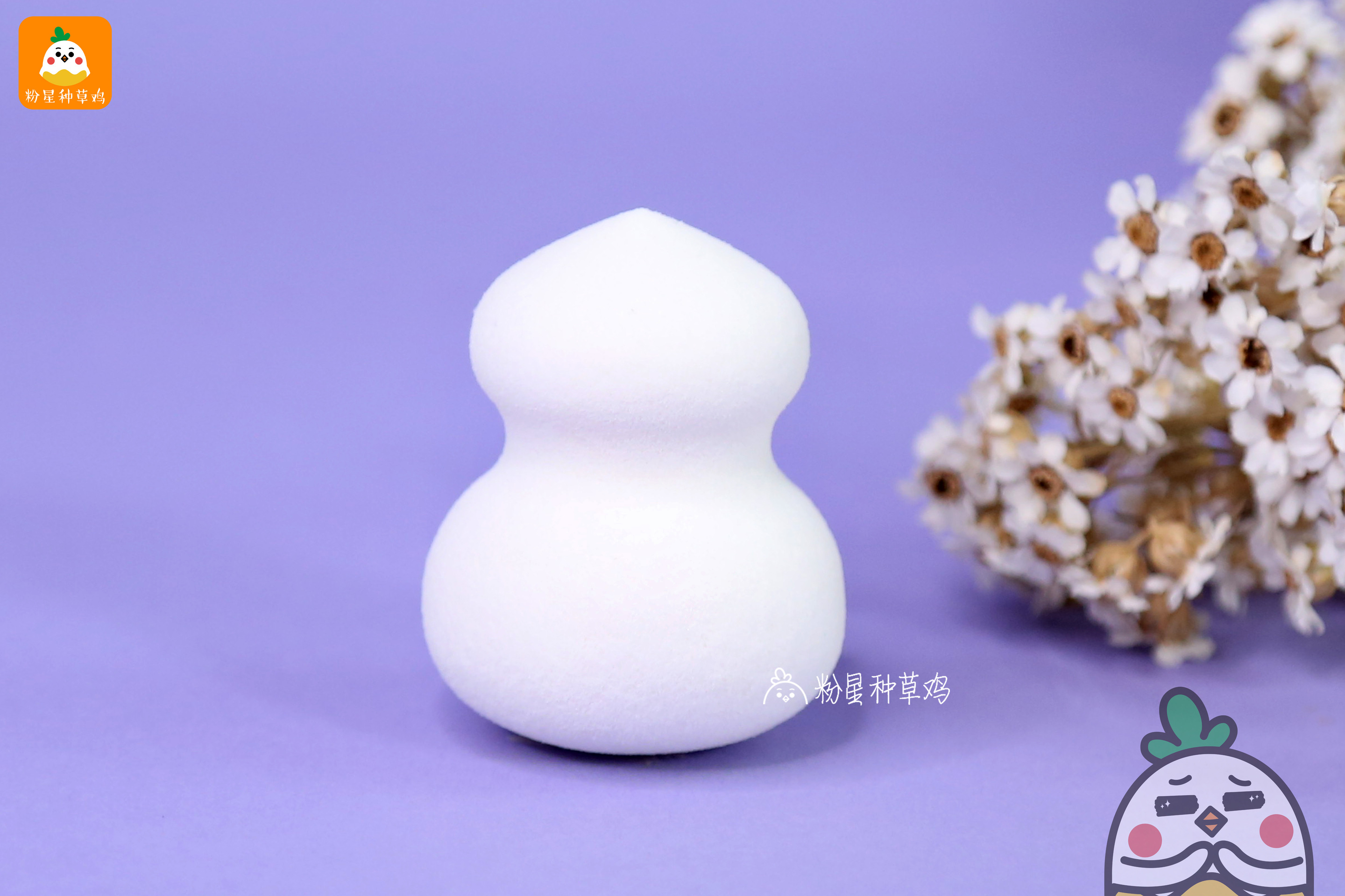 beauty blender美妝蛋和rt美妝蛋哪個(gè)好？