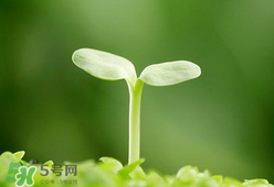 甲醛檢測儀哪個牌子好？哪個牌子的甲醛檢測儀好？