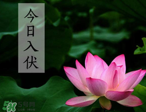 2017年頭伏是哪一天？2017年什么時候入伏？