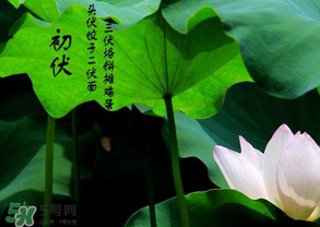 2017年頭伏是哪一天？2017年什么時候入伏？