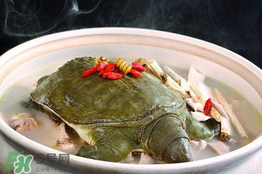 懷孕初期能吃甲魚嗎？懷孕初期可以吃甲魚嗎？