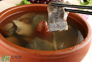 懷孕初期能吃甲魚嗎？懷孕初期可以吃甲魚嗎？