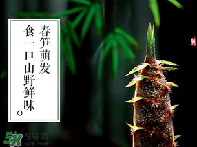 春筍多少錢一斤？春筍多少錢一斤2017？