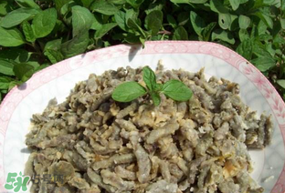 構(gòu)樹(shù)穗孕婦能吃嗎？孕婦能吃構(gòu)樹(shù)穗嗎？