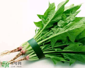 孕婦可以吃菠菜嗎？孕婦菠菜吃多了會怎樣？