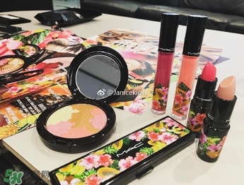 mac2017夏季fruity juicy系列有哪些？