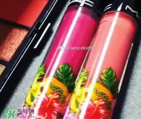 mac2017夏季fruity juicy系列有哪些？