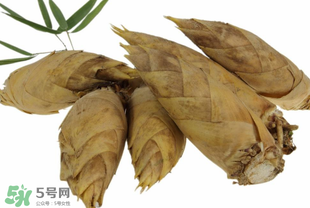 竹筍什么時候長出來？竹筍幾月份長出來？