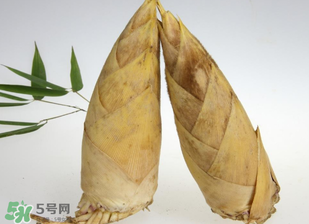 竹筍什么時候長出來？竹筍幾月份長出來？