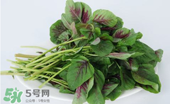 孕婦能吃莧菜嗎？孕婦可以吃莧菜嗎？