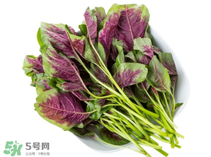 孕婦能吃莧菜嗎？孕婦可以吃莧菜嗎？