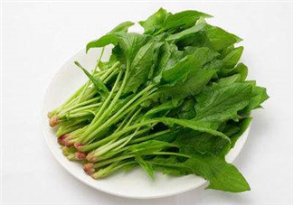 孕婦可以吃菠菜嗎？孕婦菠菜吃多了會怎樣？