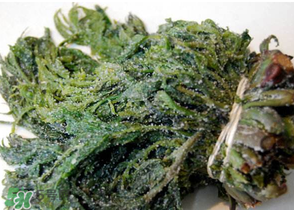 香椿腌制多久可以吃？香椿腌多長(zhǎng)時(shí)間能吃？