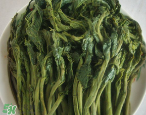 香椿腌制多久可以吃？香椿腌多長(zhǎng)時(shí)間能吃？