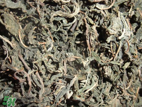 香椿可以曬干嗎？香椿怎么曬干？