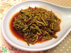 香椿苦能吃嗎？香椿苦怎么做好吃？