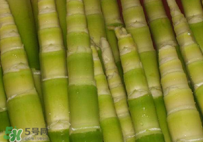 竹筍不焯水有毒嗎？竹筍不過水能吃嗎？