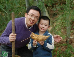 竹筍什么時(shí)候挖？竹筍幾月挖？
