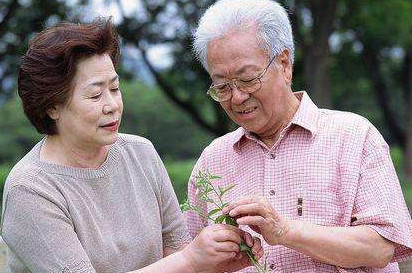 高血脂能不能吃雞蛋？血脂高可以吃雞蛋嗎