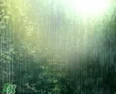 四月份會一直下雨嗎？2017年四月份為什么一直下雨？