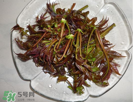 涼拌香椿要過(guò)水嗎？香椿涼拌前需要用開(kāi)水焯一下嗎？