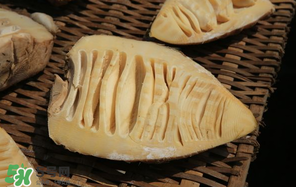 竹筍什么時(shí)候有？竹筍什么時(shí)候最好吃？