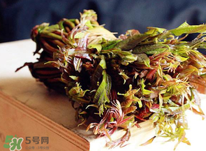 香椿很貴嗎？香椿為什么那么貴？