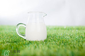 香椿可以和牛奶一起吃嗎？香椿和牛奶能一起吃嗎？
