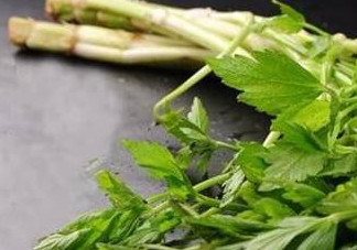 水芹菜的葉子可以吃嗎？水芹菜葉子能吃嗎