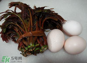 哺乳期可以吃香椿炒雞蛋嗎？哺乳期可以吃香椿炒雞蛋嗎？