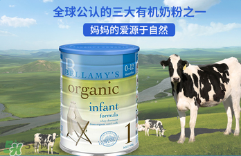 貝拉米奶粉報價多少？貝拉米奶粉價格多少？