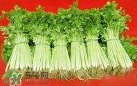 水芹菜怎么吃？水芹菜的做法