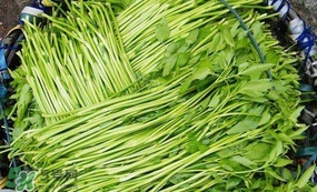水芹菜怎么吃？水芹菜的做法