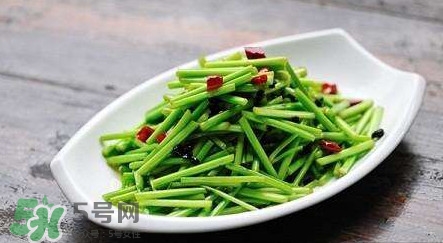 水芹菜孕婦能吃嗎？懷孕的人可以吃水芹菜嗎