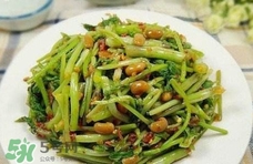 吃水芹菜有什么好處？吃水芹菜有哪些好處